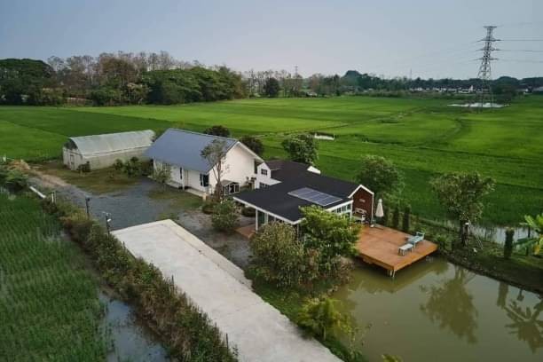 ให้เช่า 120,000 บาท/เดือน บ้านสวนสวย แม่ริม วิวดอยสุเทพ ติดทุ่งนา 3 ด้าน วิวสวยสุดในย่านนี้