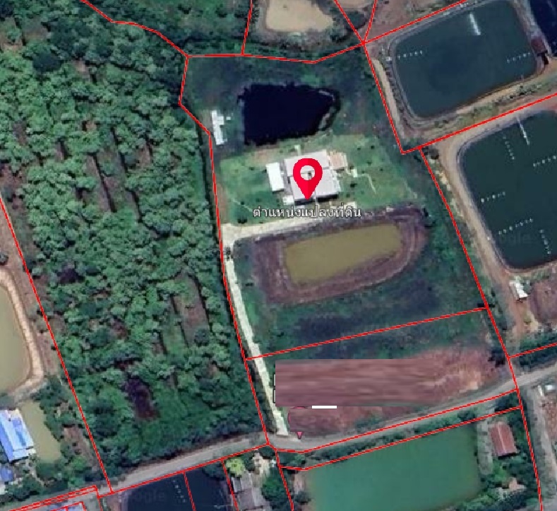 ให้เช่าที่ดิน6ไร่พร้อมบ้านเดี่ยว2ชั้นพื้นที่ใช้สอย1000ตร.ม.ย่านอ.เมืองฉะเชิงเทรา จ.ฉะเชิงเทรา 