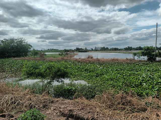 ขายที่ดินเปล่า ติดถนนหลวงหมายเลข 3496 ใกล้ตลาดร้อยปีสามชุก สุพรรณ